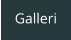 Galleri